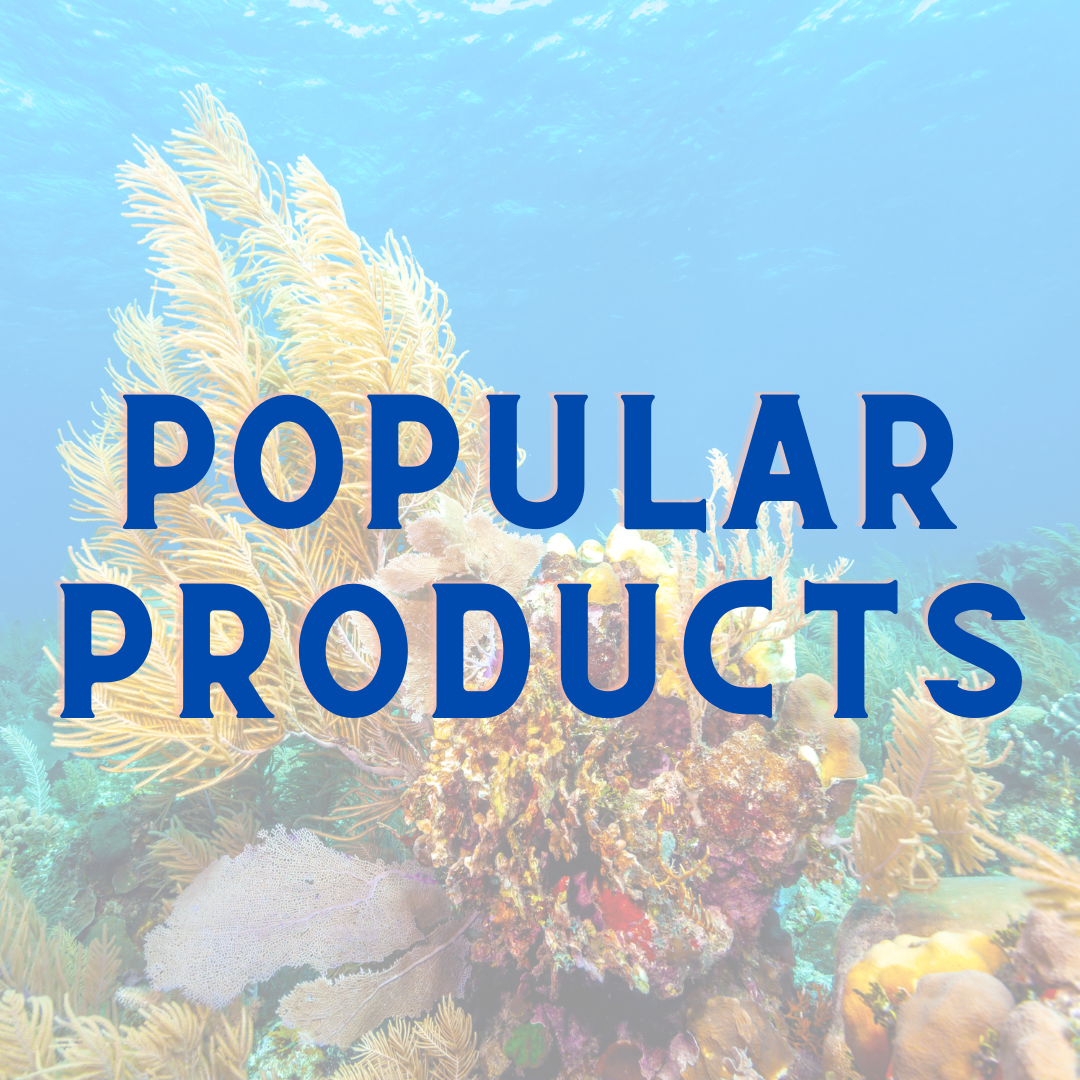 Most Popular Products – Foxy Saltwater Tropicals