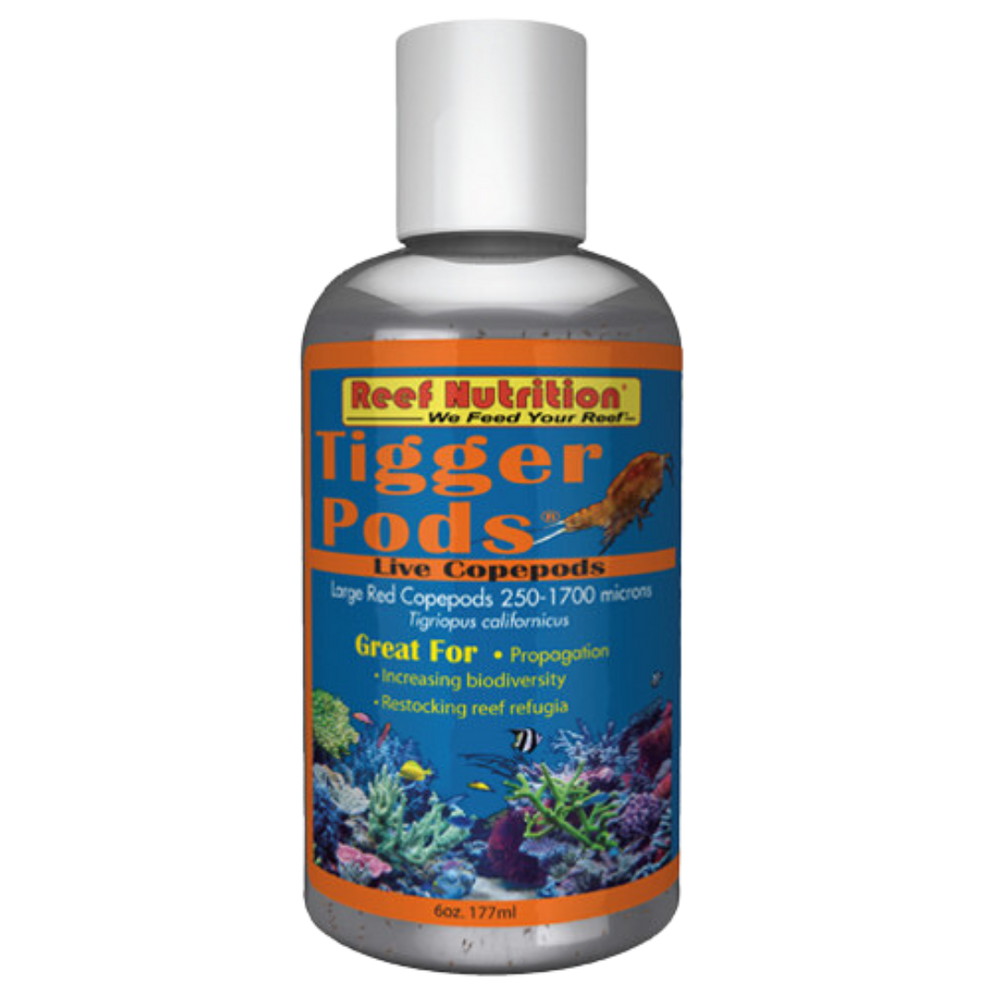 Tigger Pods Live Copepods (6 oz) - Reef Nutrition – Foxy Saltwater