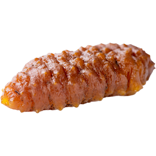 Sea Cucumber