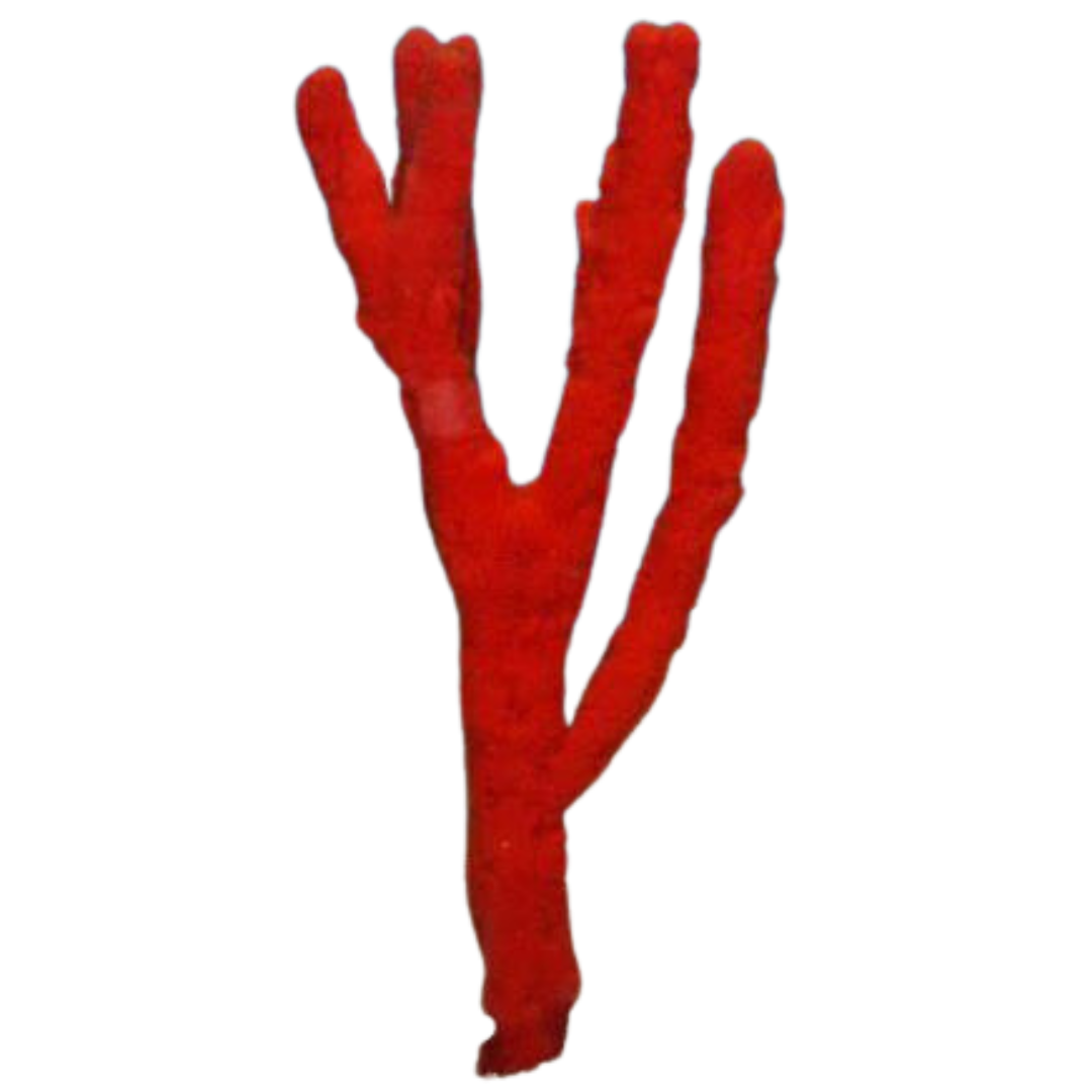 Red Tree Sponge XXL