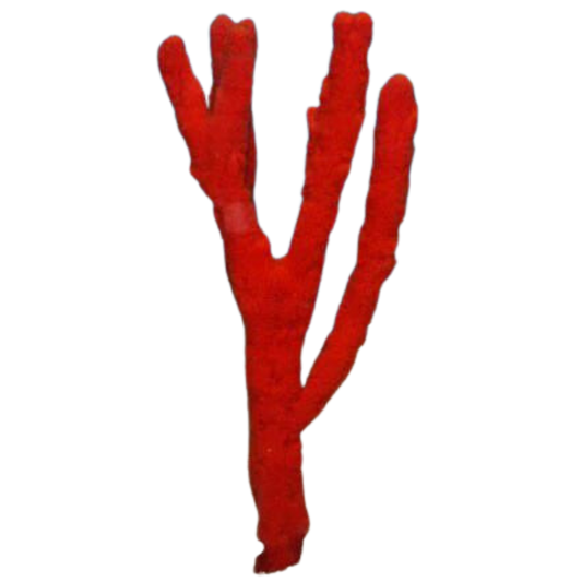 Red Tree Sponge XXL